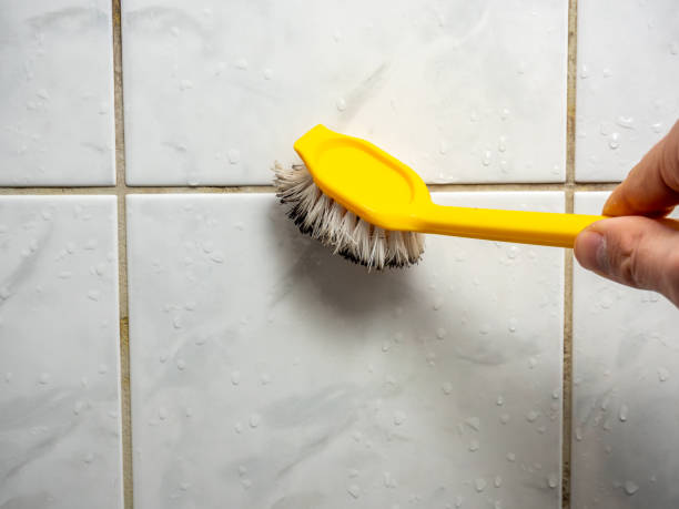 Best Mold Removal Near Me  in Madera, CA