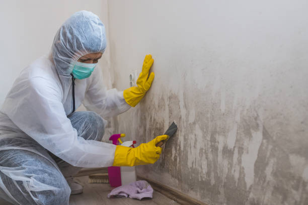 Best Mold Testing  in Madera, CA