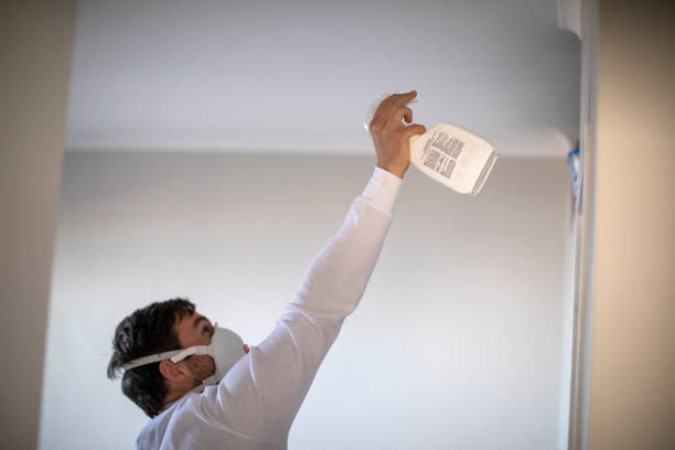 Attic Mold Removal in Madera, CA