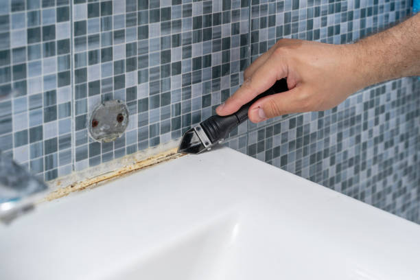 Best Affordable Mold Removal  in Madera, CA